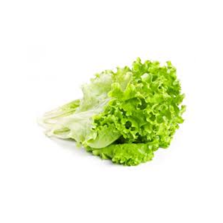 Lechuga Hidropónica Verde unid.