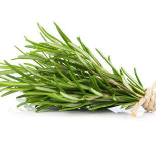 Romero Fresco X 1 Banadeja