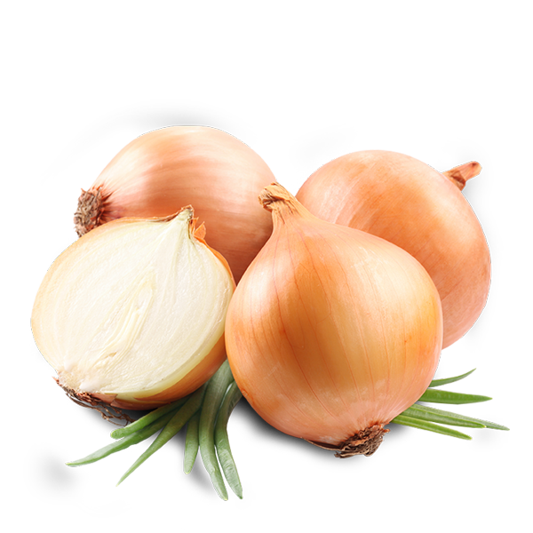 Cebolla Blanca  x 1 Kg