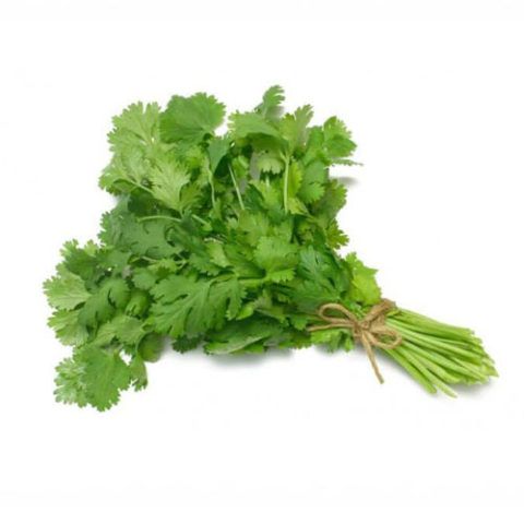 Cilantro x 1Kg