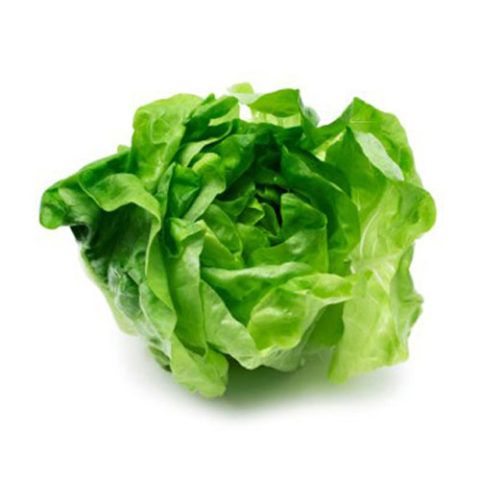 Lechuga Española x Und