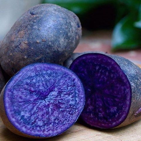 Papa Nativa - Bruja x 1 Kg