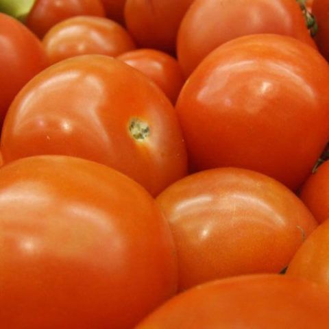 Tomate Larga Vida x 1 Kg