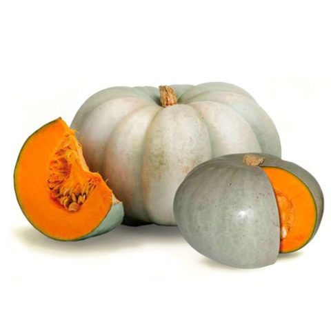 Zapallo Jamboree - Unidad